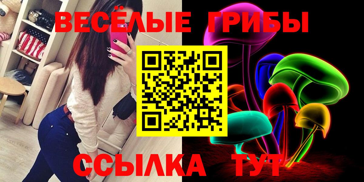 Псилоцибиновые грибы прущие грибы  Вход с VPN  Заречный 