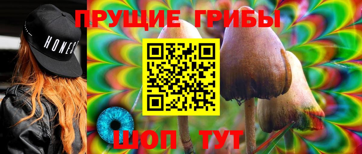 Галлюциногенные грибы Cubensis Заречный